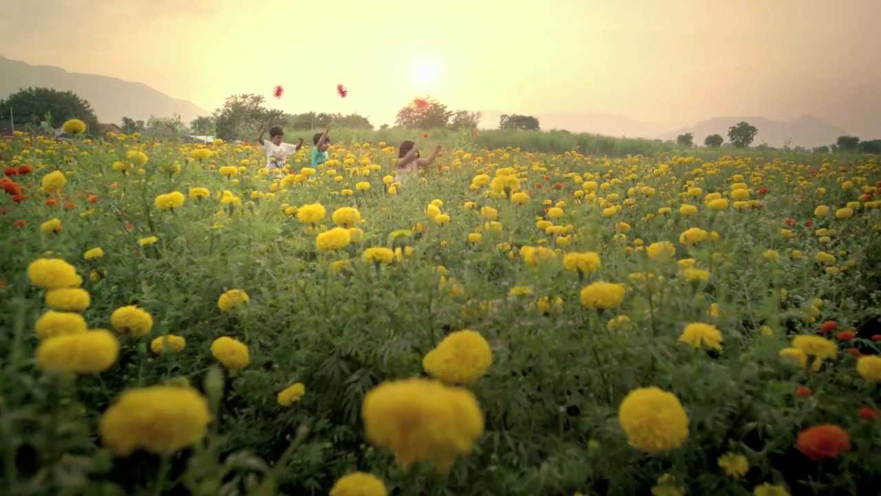  Hitachi Tomorrow Together TVC 2012 by Blue Turtle Films